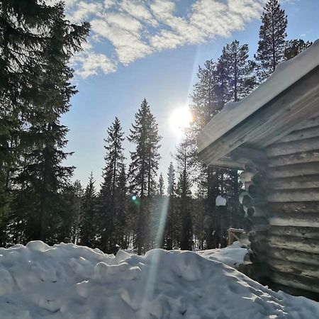 Mantytupa Lodge Сиоте Экстерьер фото